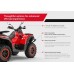 QJMOTOR SFA 1000 ATV Quad Bike